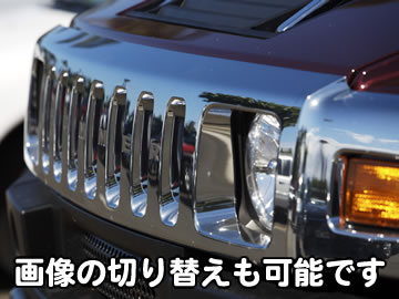 ピット